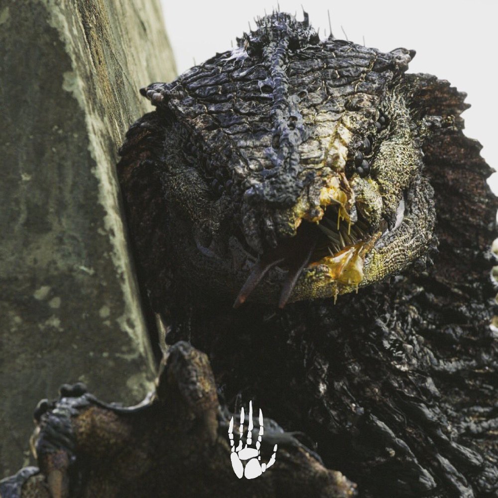 Oats Studios - Rakka